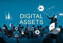 Digital Asset Investment